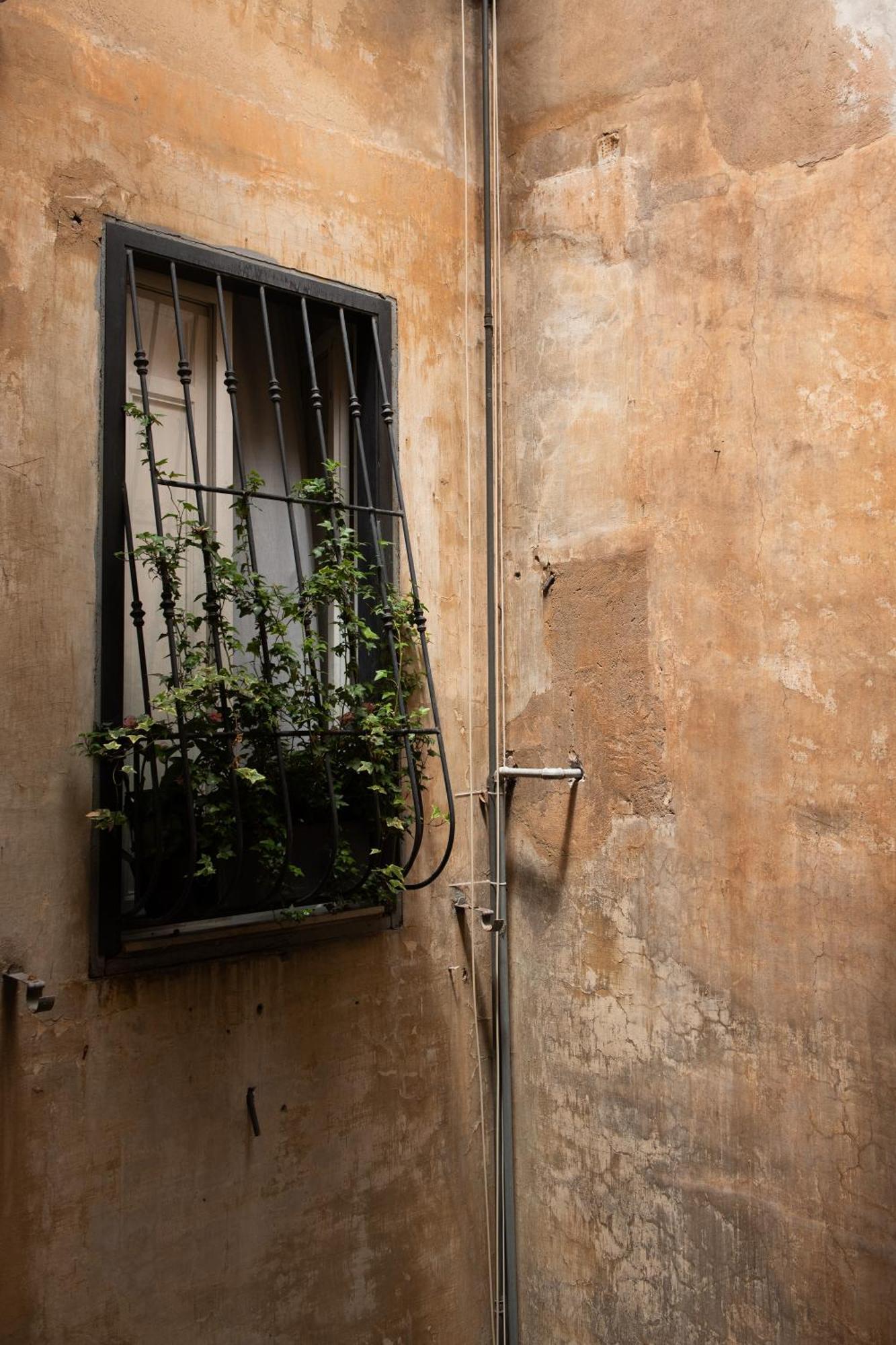 Colosseum View Accomodation Roma Dış mekan fotoğraf